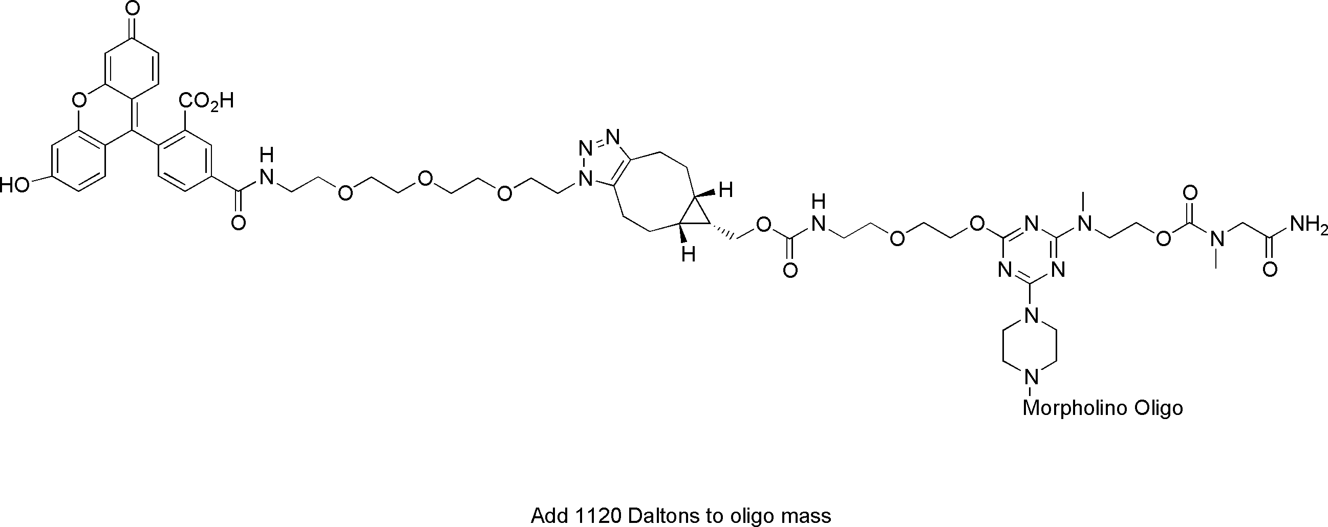 Fluorescein Labeled PPMO