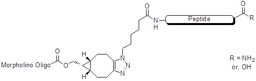 Terminal Azide Conjugation